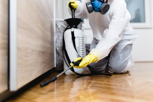 Best Pest Removal Services  in New Miami, OH