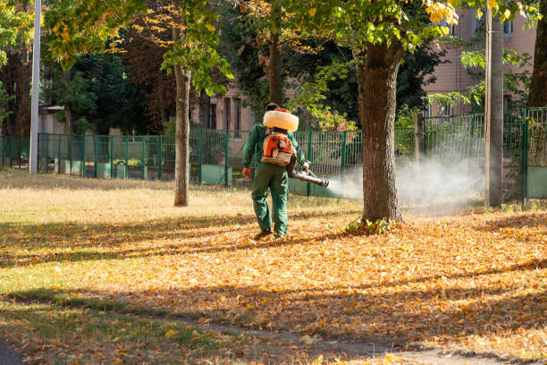 Best Mosquito Control Services  in New Miami, OH